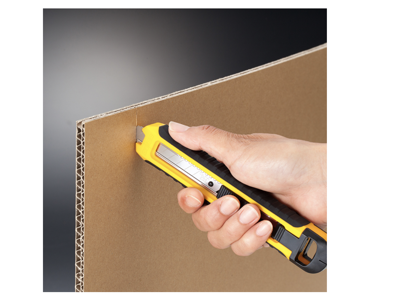 -2026-03-04-9.18.48.png -2026-03-04-9.18.48.png