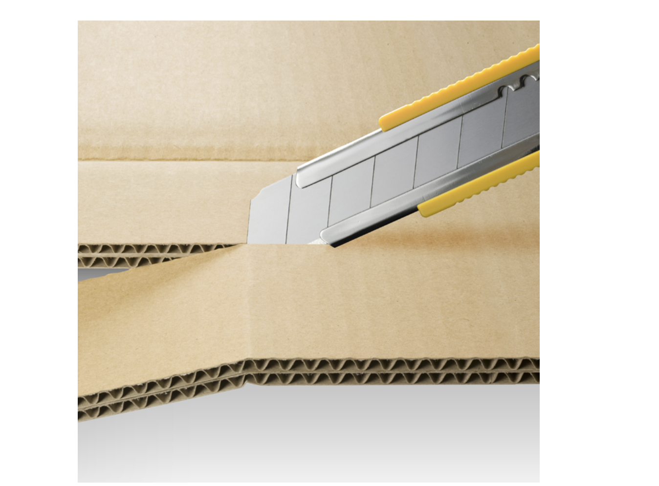 -2026-03-10-8.47.34.png -2026-03-10-8.47.34.png